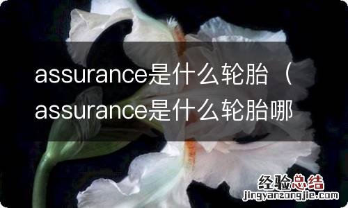 assurance是什么轮胎哪里产的 assurance是什么轮胎