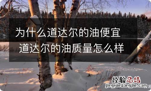 为什么道达尔的油便宜 道达尔的油质量怎么样