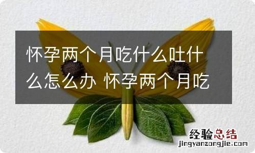 怀孕两个月吃什么吐什么怎么办 怀孕两个月吃啥吐啥怎么办