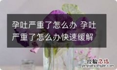 孕吐严重了怎么办 孕吐严重了怎么办快速缓解