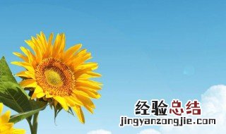 情感语录情感话 情感的语录推荐