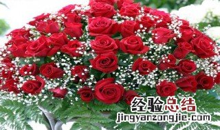 情人节送什么花最好 情人节送女朋友什么花最好