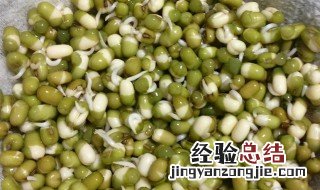 生豆芽不长毛根的方法 生豆芽怎么不长须根