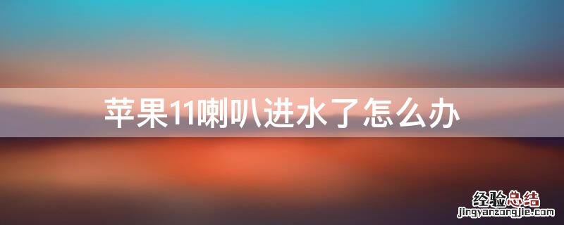 iPhone11喇叭进水了怎么办