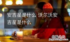 安吉星是什么 沃尔沃安吉星是什么