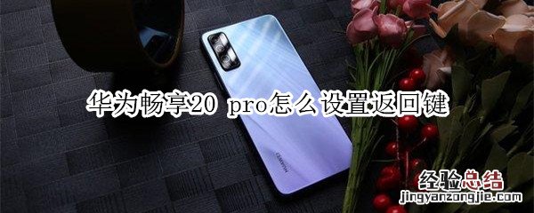 华为畅享20 pro怎么设置返回键