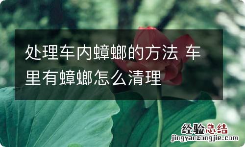 处理车内蟑螂的方法 车里有蟑螂怎么清理