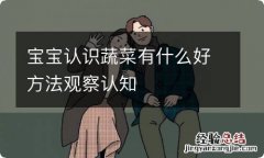 宝宝认识蔬菜有什么好方法观察认知