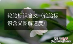 轮胎标识含义图解速度 轮胎标识含义