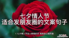 情人节短信最温馨的话