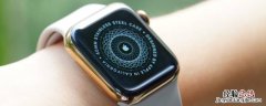 apple watch蜂窝和gps的区别