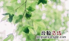 带然字的网名简短唯美 简短唯美带然字的网名大全