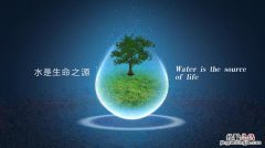 高中生物有关生态学原理