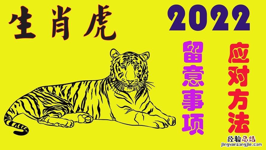弄虚作假代表什么生肖