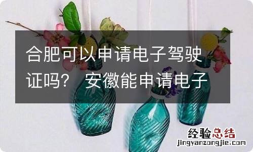 合肥可以申请电子驾驶证吗？ 安徽能申请电子驾驶证吗