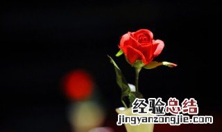 花束数量不同代表的不同含义 玫瑰花束的数量含义