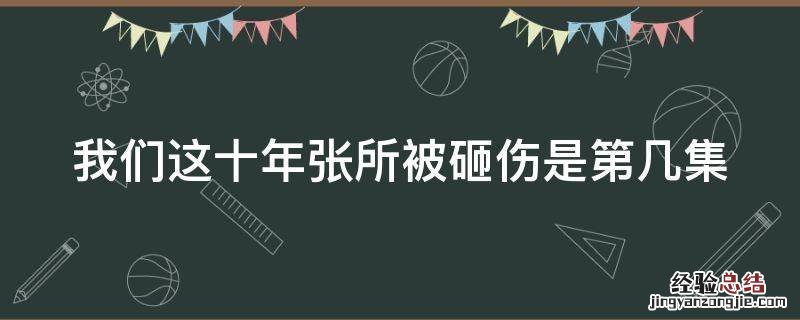 我们这十年张所被砸伤是第几集