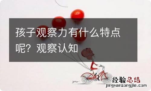 孩子观察力有什么特点呢?观察认知