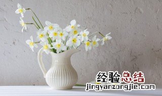 花瓶养花需要放盐吗 花瓶里需要放盐吗