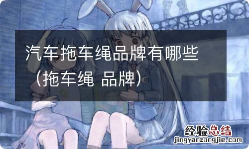 拖车绳 品牌 汽车拖车绳品牌有哪些