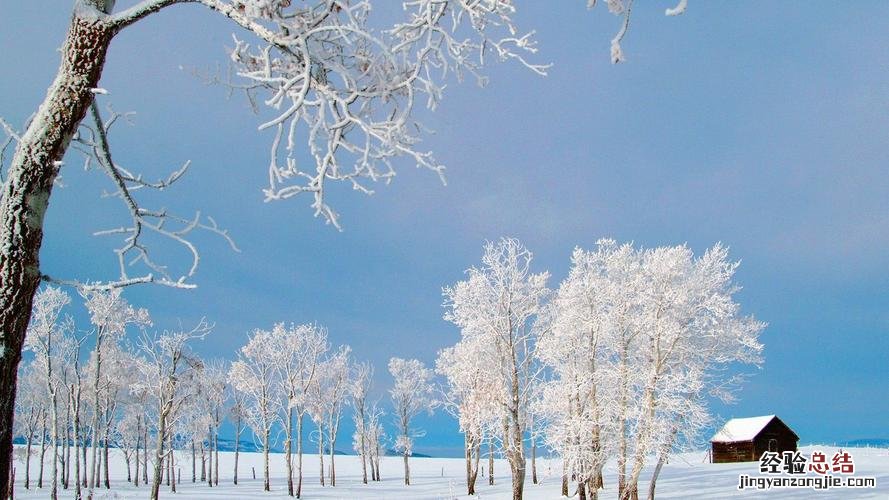 瑞雪兆丰年什么意思