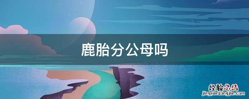 鹿胎分公母吗