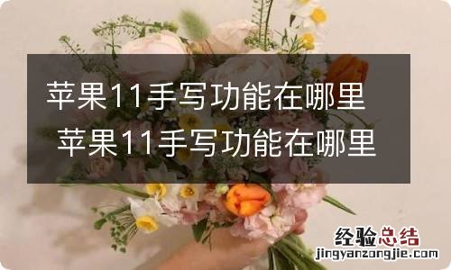 苹果11手写功能在哪里 苹果11手写功能在哪里找出来