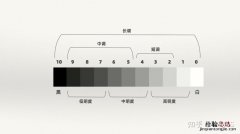 棉纤维按品种分为哪几种