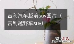 吉利越野车suv 吉利汽车越滨suv图片