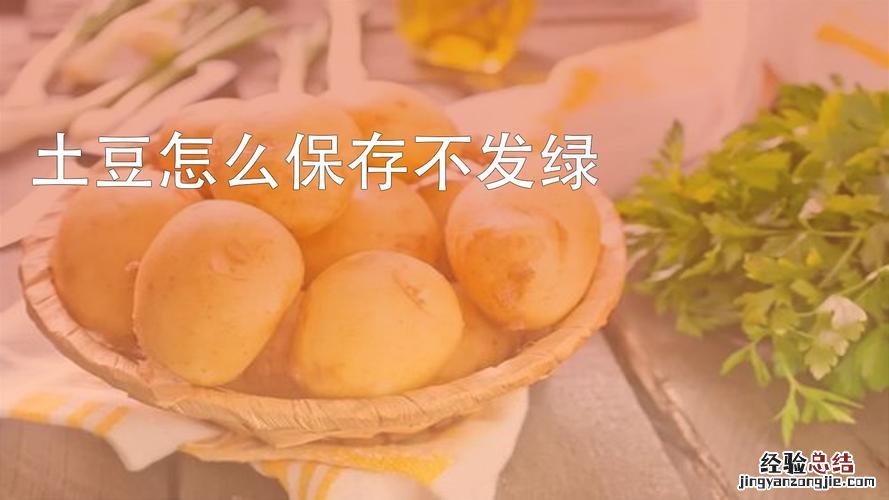 土豆怎么保存不发绿不长牙