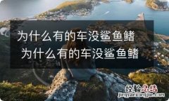 为什么有的车没鲨鱼鳍 为什么有的车没鲨鱼鳍怎么装