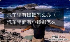 汽车里面有小蟑螂怎么办 汽车里有蟑螂怎么办