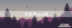 手机有cpu吗