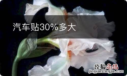 汽车贴30%多大