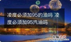 凌度必须加95的油吗 凌度必须加95汽油吗