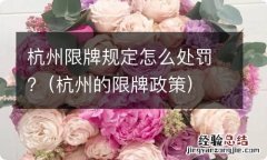 杭州的限牌政策 杭州限牌规定怎么处罚?