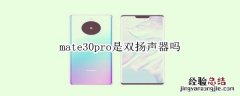 mate30pro是双扬声器吗