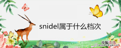 snidel属于什么档次