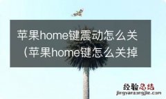 苹果home键怎么关掉震动 苹果home键震动怎么关