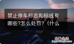 什么是禁止停车标线 禁止停车标志和标线有哪些?怎么处罚?