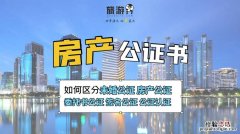 亲属关系公证书要在哪里办理