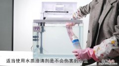 鱼缸的水浑浊怎么办怎么变清