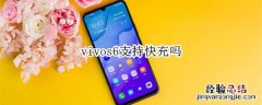 vivos6支持快充吗