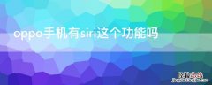 oppo手机有siri这个功能吗