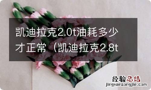 凯迪拉克2.8t油耗多少 凯迪拉克2.0t油耗多少才正常