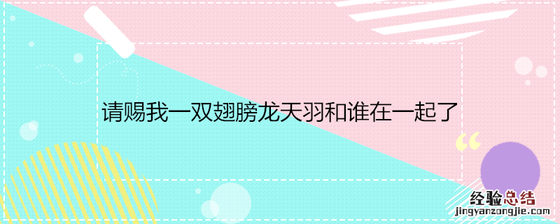 请赐我一双翅膀龙天羽和谁在一起了