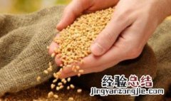 珍惜粮食创意文案 珍惜粮食的句子有哪些