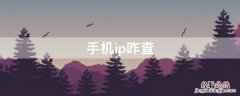 手机ip咋查 手机IP怎么查