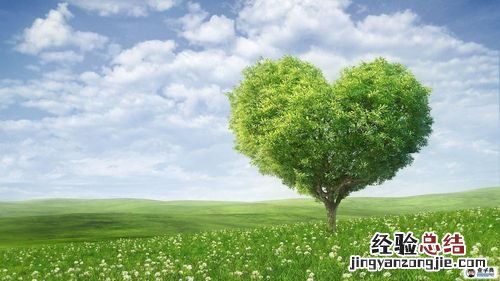 有关阳光的比喻句