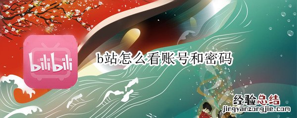 b站怎么看账号和密码